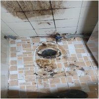 성북구하수구막힘 PC 갤러리 5